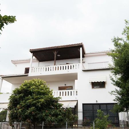 הוילה PalaiónTsiflíkion Bivas Nikolaos מראה חיצוני תמונה