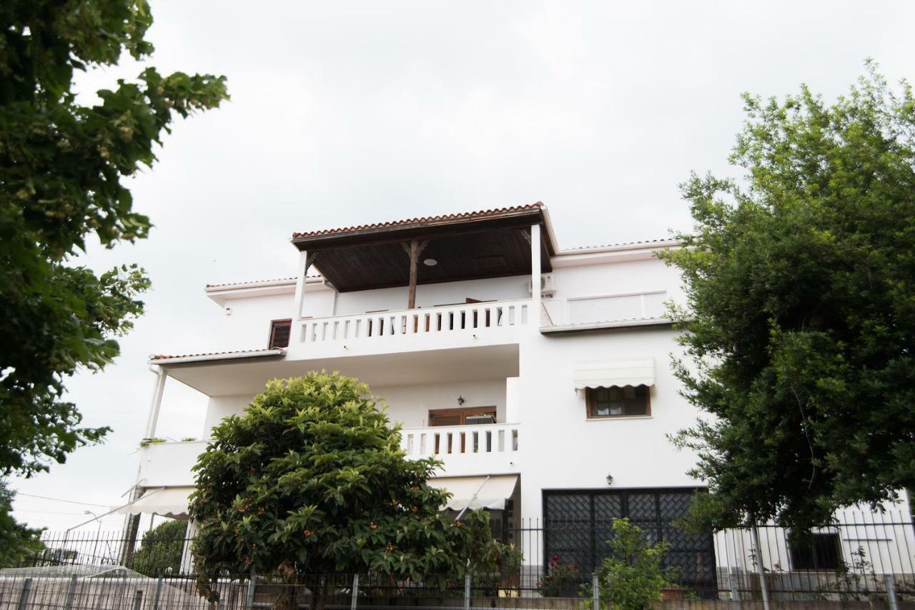 הוילה PalaiónTsiflíkion Bivas Nikolaos מראה חיצוני תמונה